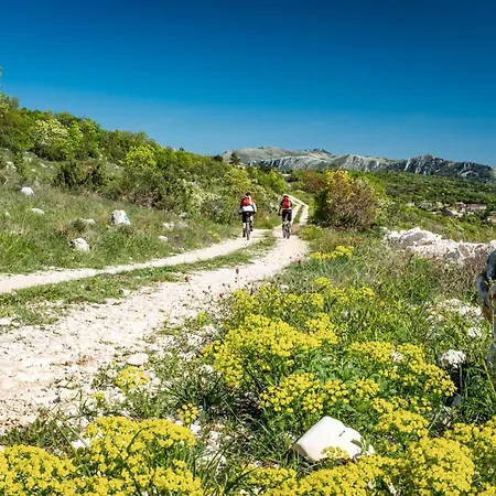 Apartament In 16817 Rabac
