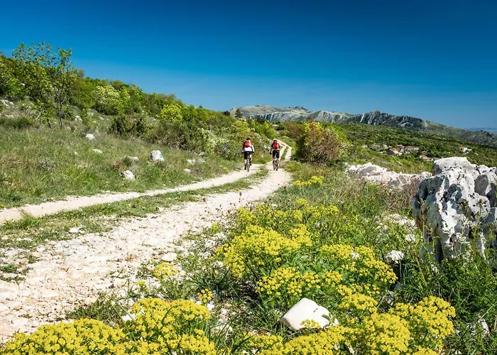 아파트 In 16817 라벡